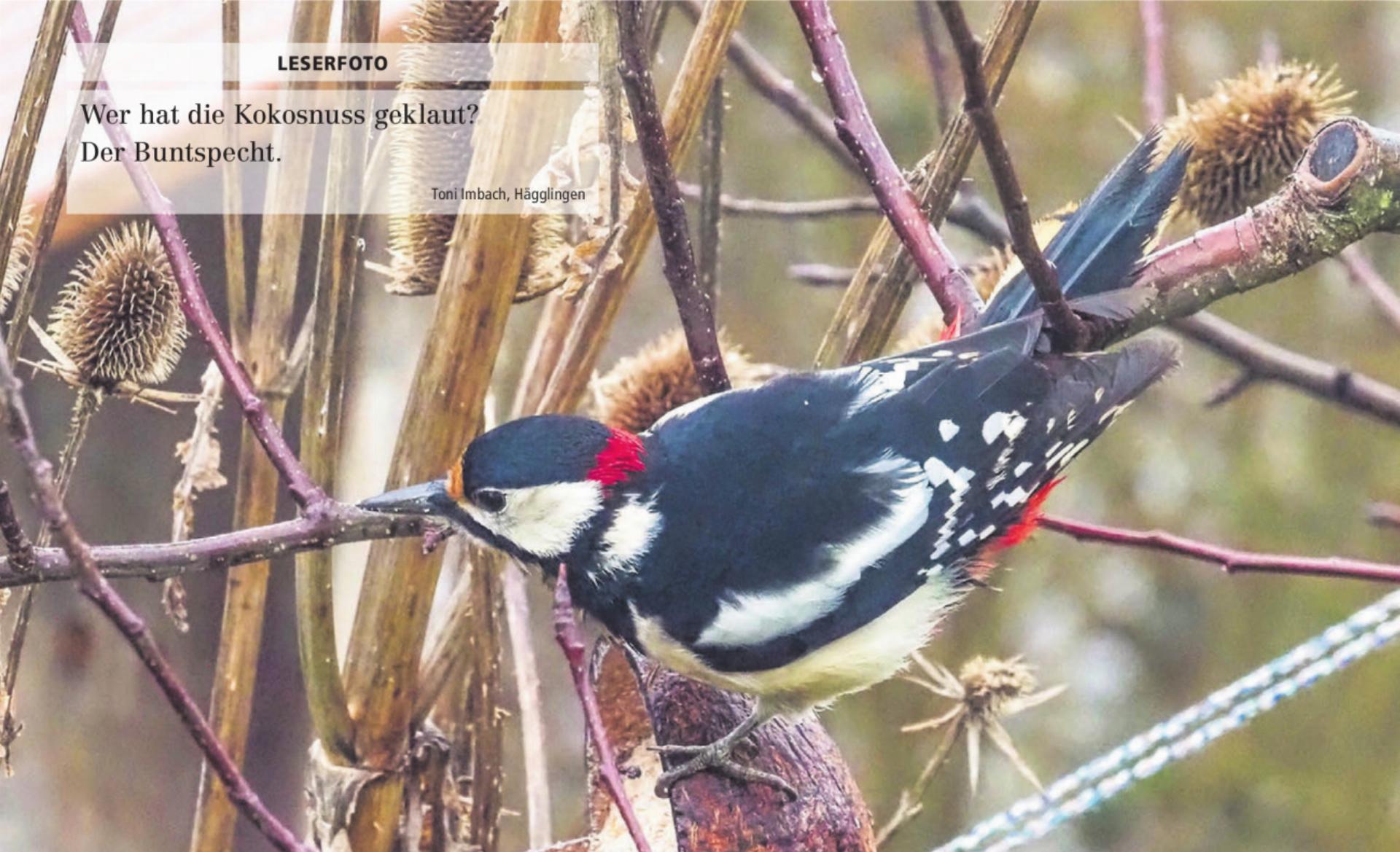  - Das Bild wird blockiert. – Möglicherweise durch einen aktiven Adblocker.