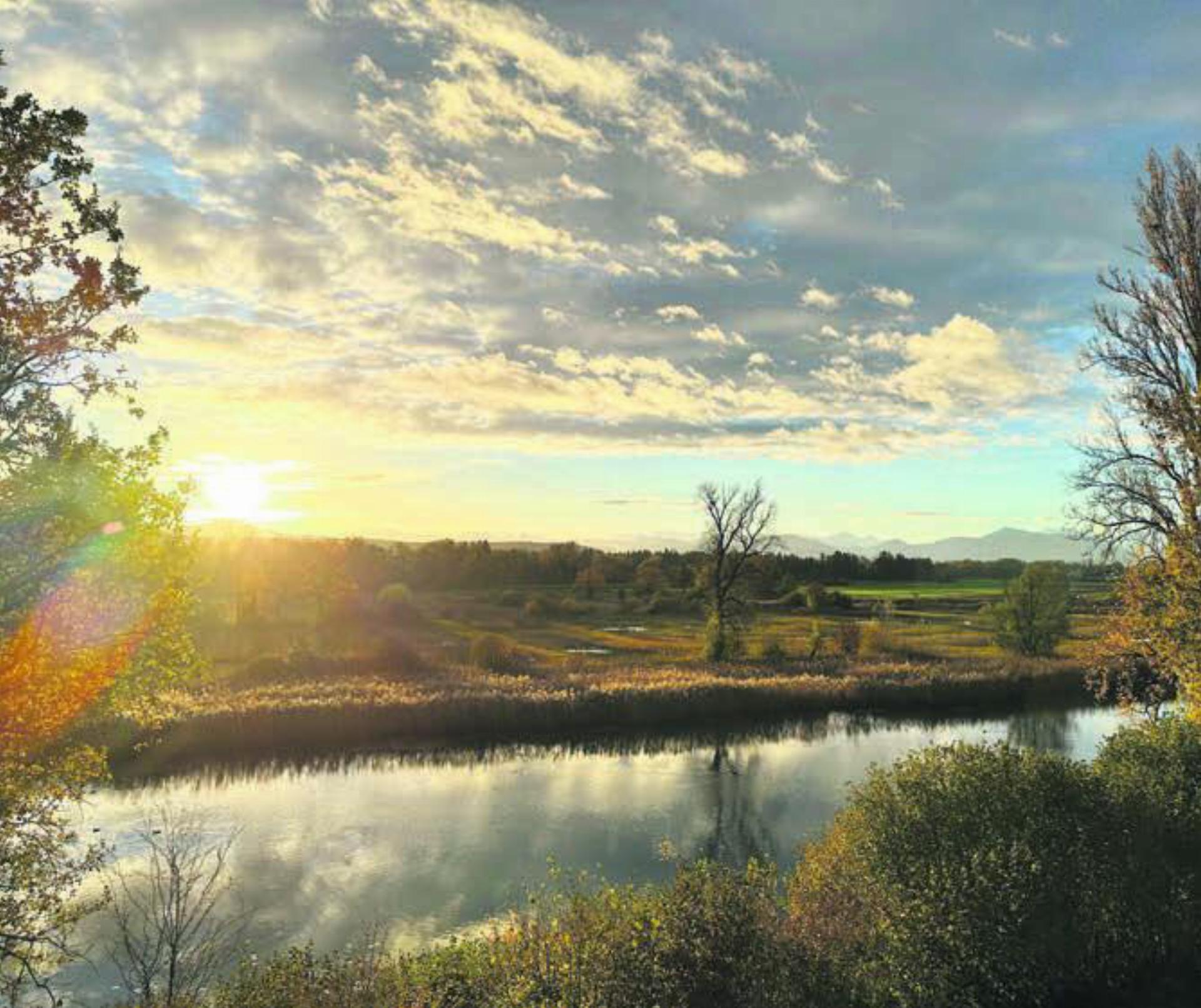 Die Altwasser-Landschaft der Stillen Reuss bei Rottenschwil. Bild: Sarah Wettstein