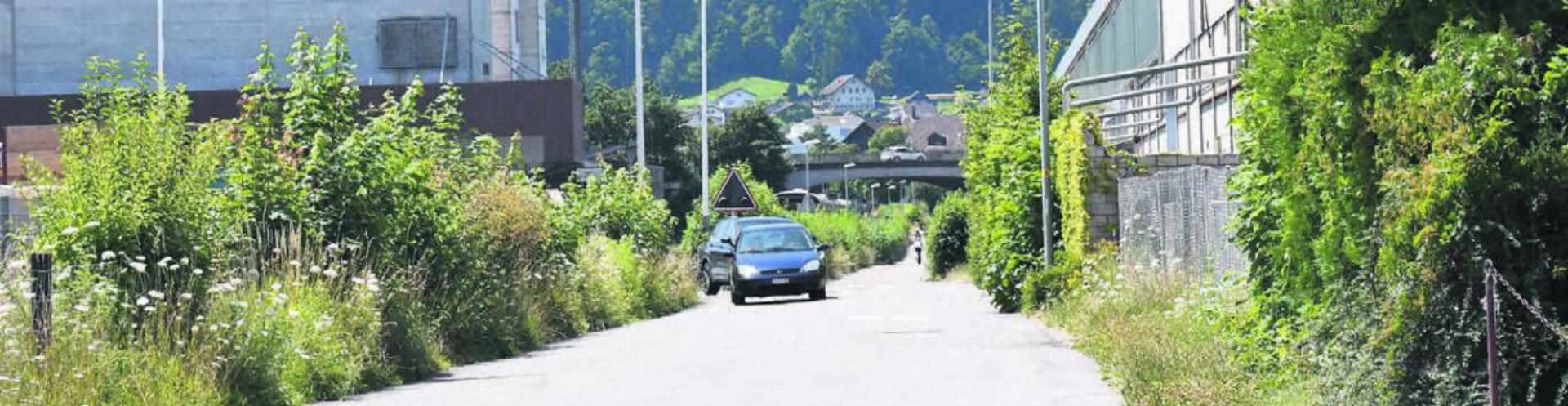 Wichtige Verbindung: Die Industriestrasse ist elementar für die Unternehmen im Areal der Ferrowohlen AG und muss unbedingt saniert werden. Bild: dm