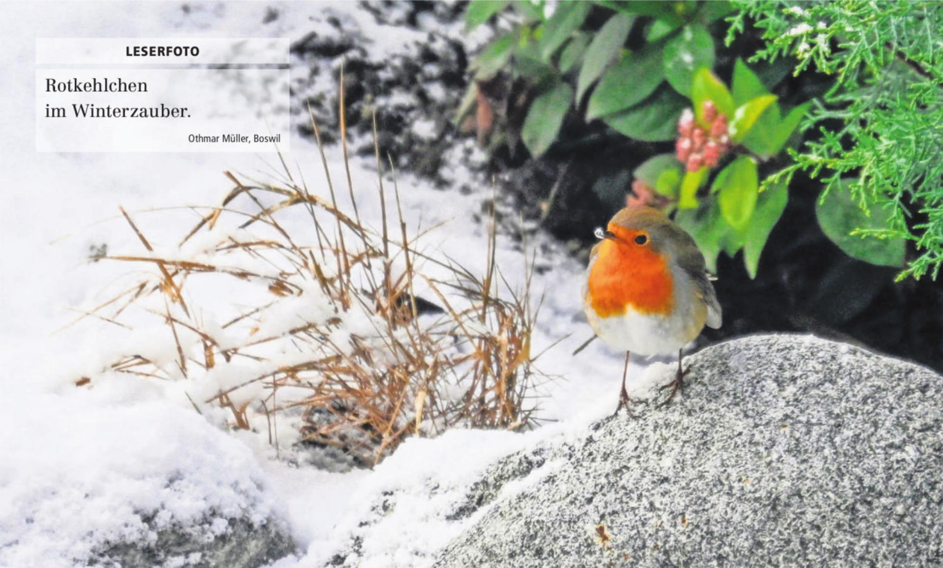  - Das Bild wird blockiert. – Möglicherweise durch einen aktiven Adblocker.