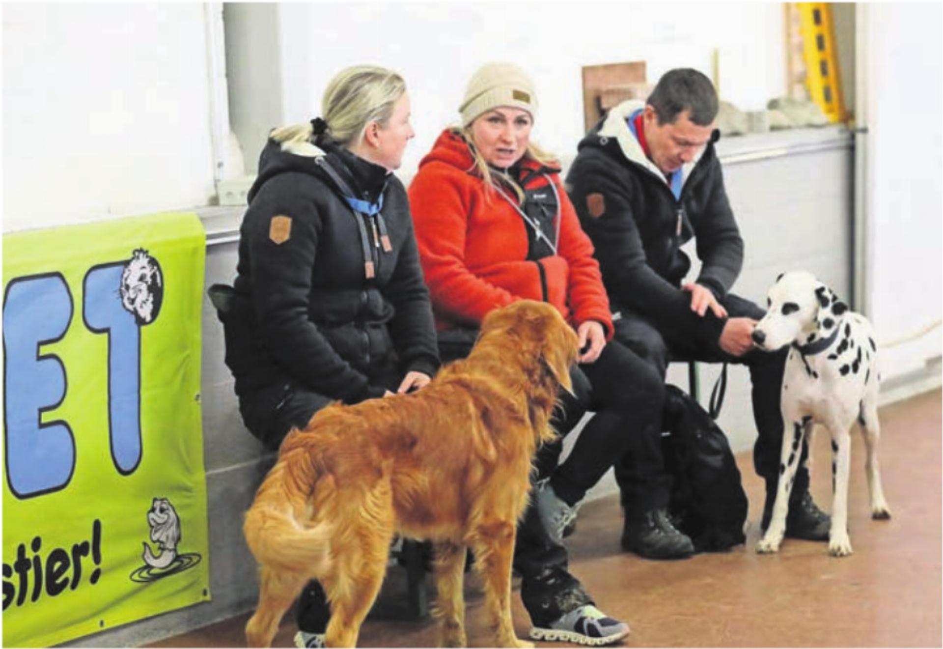 Es blieb am Turnier genügend Zeit, sich mit anderen Hundebesitzern auszutauschen. - Das Bild wird blockiert. – Möglicherweise durch einen aktiven Adblocker.