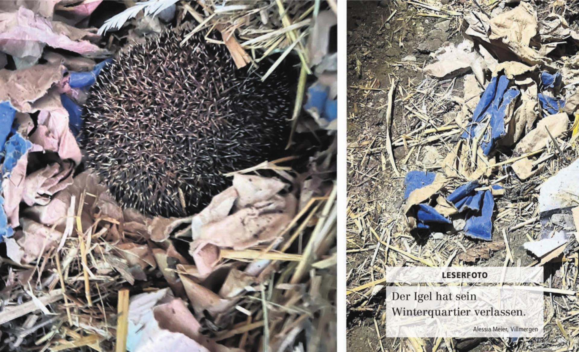  - Das Bild wird blockiert. – Möglicherweise durch einen aktiven Adblocker.