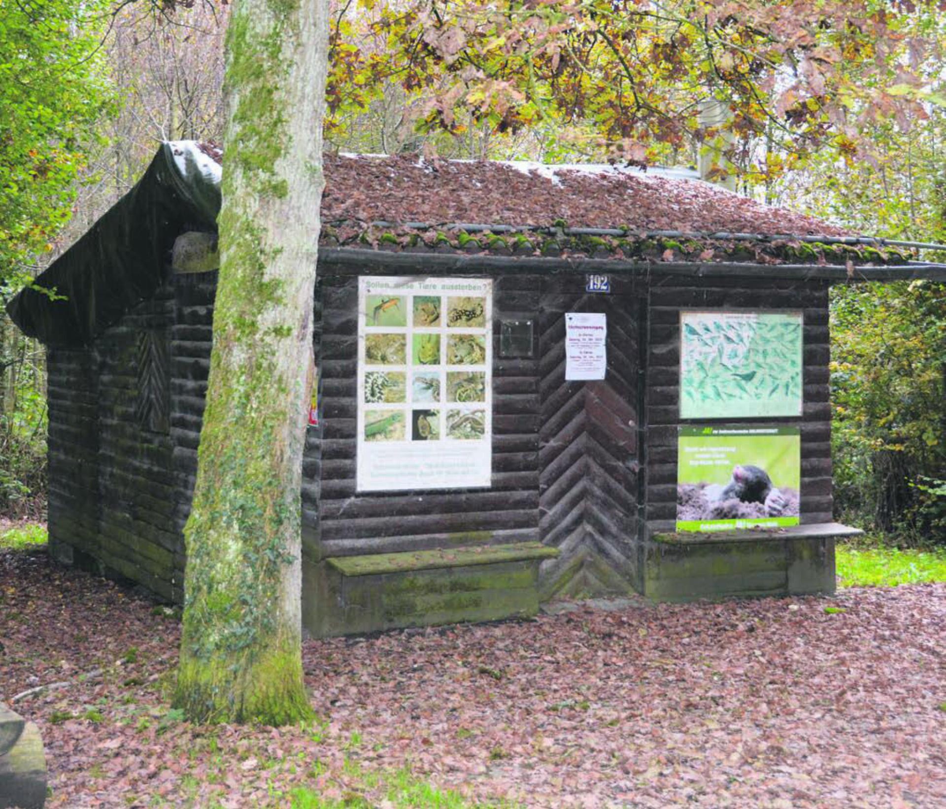 Die Waldhütte Buechhübel befindet sich in einem sehr schlechten Zustand. Bild: Archiv / Roger Wetli
