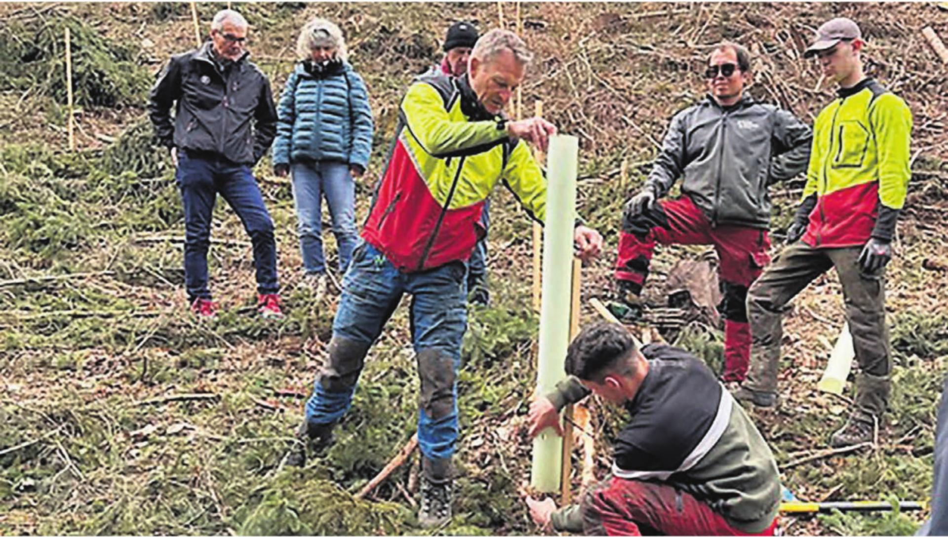 Revierförster Urs Huber (3. v. l.) gab Anweisungen.
Bild: it - Das Bild wird blockiert. – Möglicherweise durch einen aktiven Adblocker.