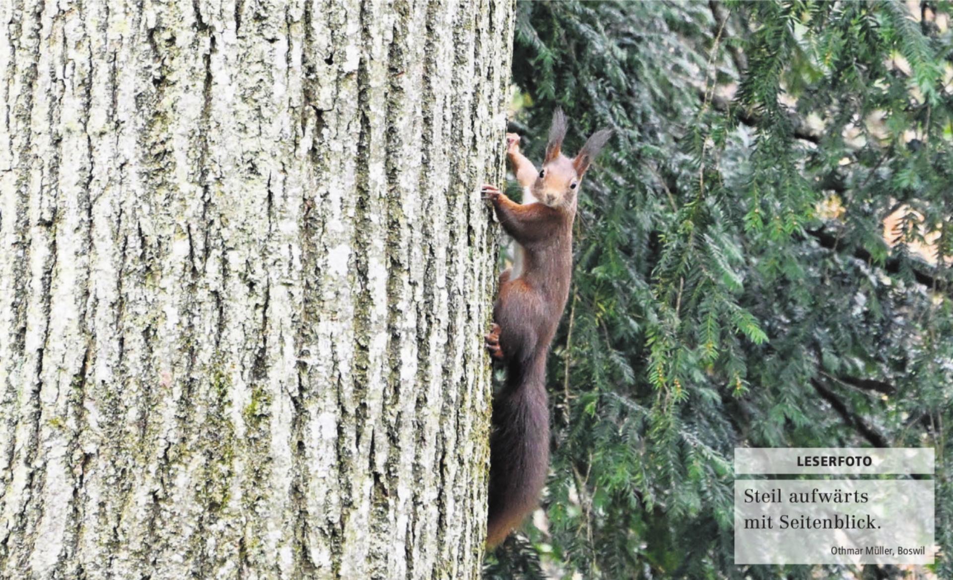  - Das Bild wird blockiert. – Möglicherweise durch einen aktiven Adblocker.