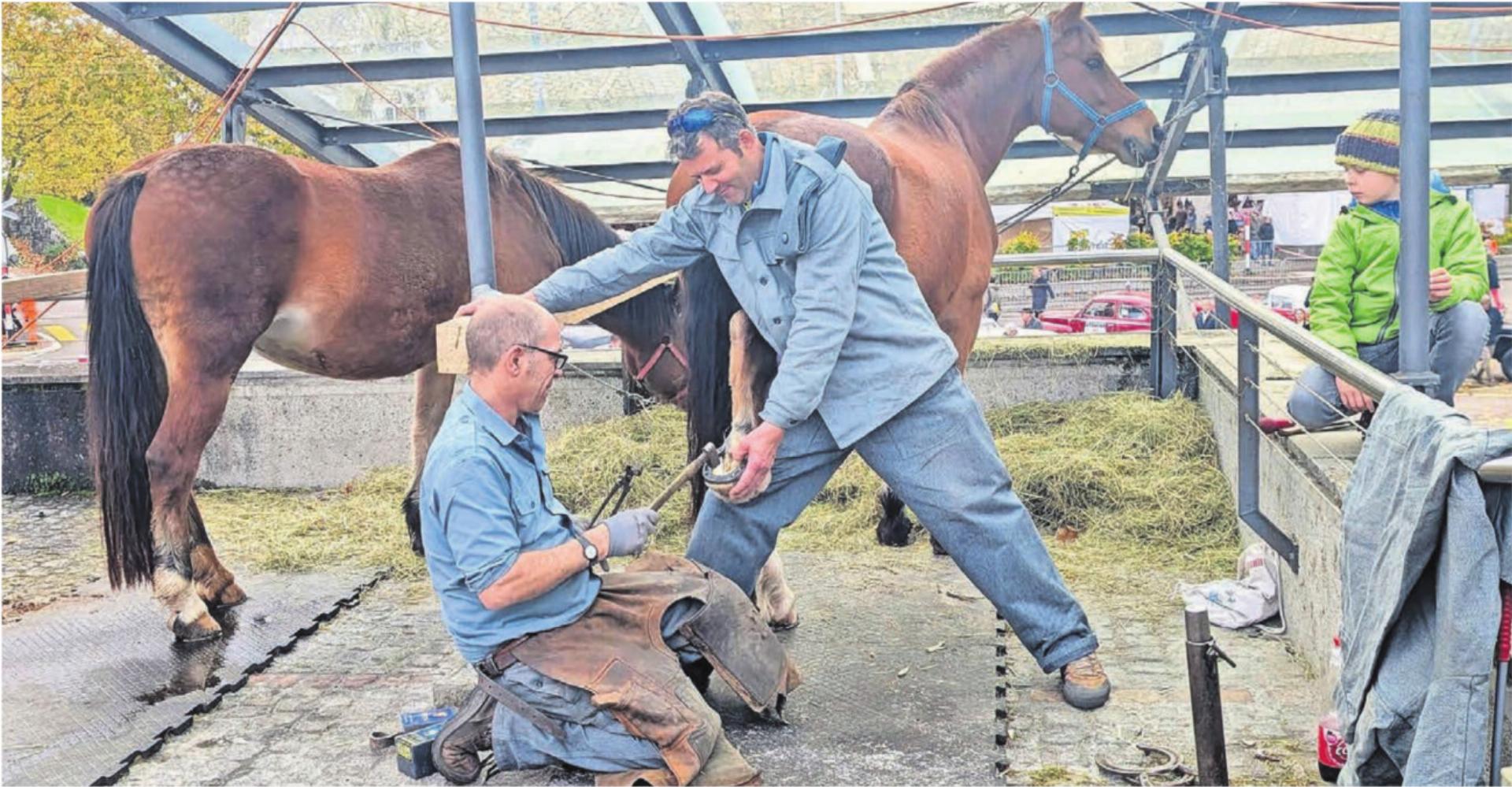Das Schmiedehandwerk wurde dieses Jahr besonders anschaulich gezeigt. Die vielen Hufeisen brachten allerdings erst am Sonntag Wetterglück. Bild: Marco Huwyler - Das Bild wird blockiert. – Möglicherweise durch einen aktiven Adblocker.