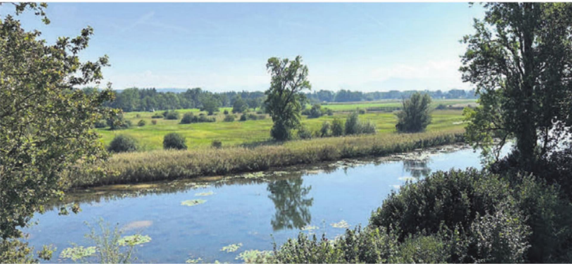 Ökologisch wertvolle Altwasser-Landschaft. Bild: zg - Das Bild wird blockiert. – Möglicherweise durch einen aktiven Adblocker.