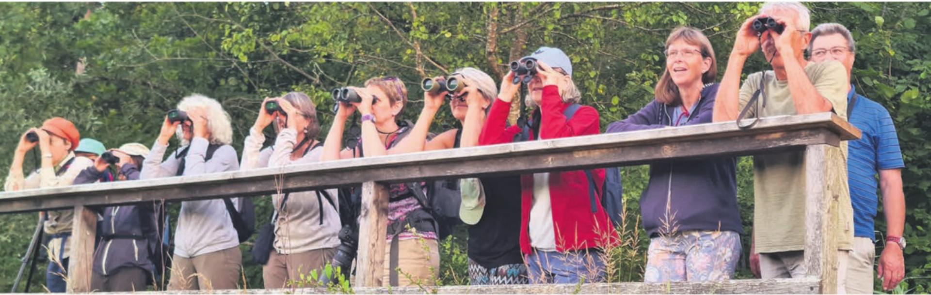 Die Mitglieder des Natur- und Vogelschutzvereins Wohlen entdeckten viele seltene Tiere am Flachsee. Bilder: zg