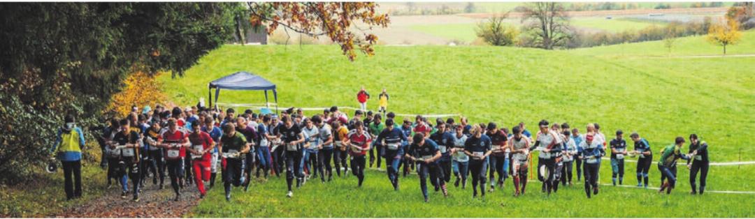 Massenstart beim Waldrand in Waltenschwil. Massenstart beim Waldrand in Waltenschwil.