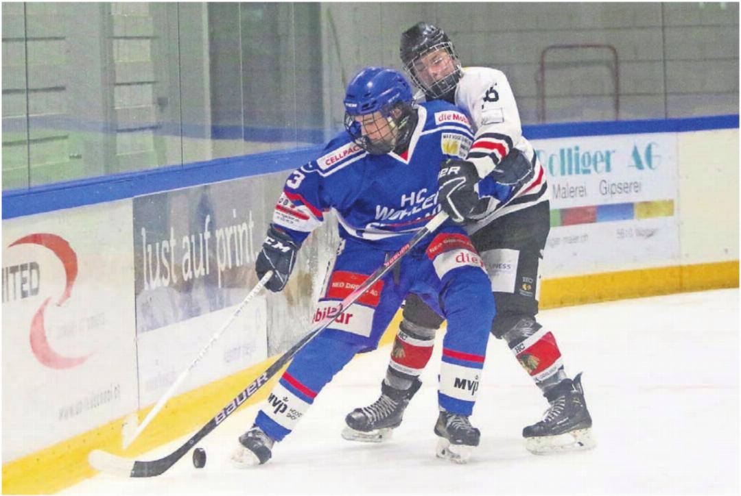 Noel Burket (vorne) im Kampf um den Puck mit Fi-Gös Christoph Fuchs. Am Kampfgeist hat es beim HC Wohlen Freiamt nicht gefehlt. Vor dem Tor waren die «Huskies» zu harmlos. Bilder: Josip Lasic Noel Burket (vorne) im Kampf um den Puck mit Fi-Gös Christoph Fuchs. Am Kampfgeist hat es beim HC Wohlen Freiamt nicht gefehlt. Vor dem Tor waren die «Huskies» zu harmlos. Bilder: Josip Lasic