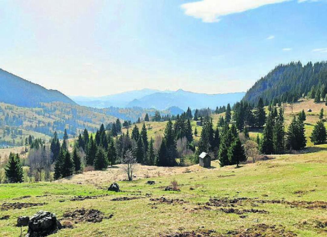 Die vielfältige Landschaft Rumäniens hat es Gesa von Hirschheydt angetan. Die vielfältige Landschaft Rumäniens hat es Gesa von Hirschheydt angetan.