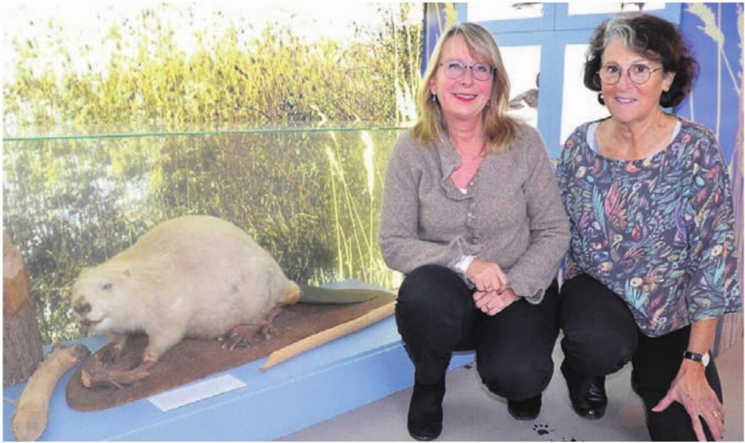 Der Biber bleibt ein Thema. Die neue und die alte Präsidentin in der Dauerausstellung. Der Biber bleibt ein Thema. Die neue und die alte Präsidentin in der Dauerausstellung.