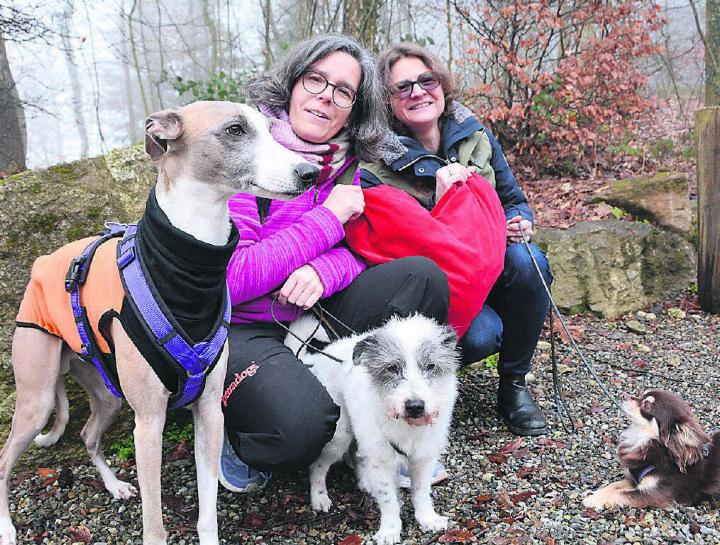 Zwei- und Vierbeiner sollen sich bei einem Spaziergang kennenlernen, so die Idee von Natalie Juchli (links) und Diana Miljkovic-Tobler. Mit dabei auch Juchlis Hunde (v. l.) Cielo, Jimmy und Yumi. Bild: Sabrina Salm