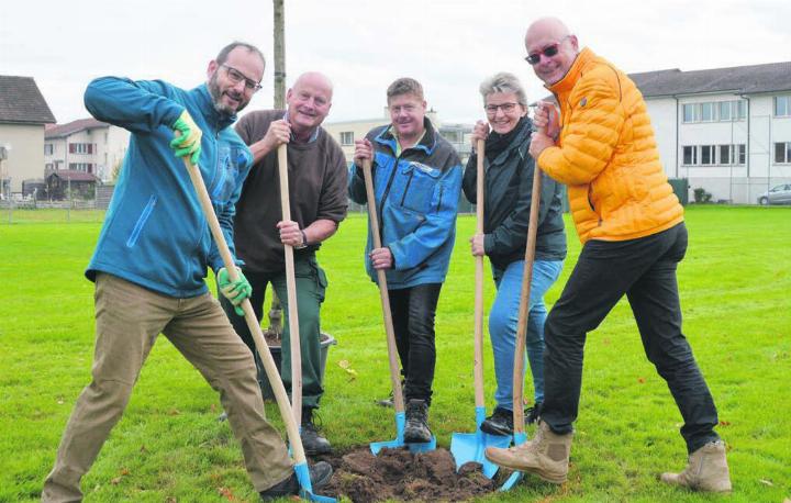 Tatkräftig im Einsatz – die Boswiler Gemeinderäte, von links: Roman Bamert, Michael Weber, Peter Wyrsch, Gabriela Schönenberg, Jakob Dolder. Bilder: Annemarie Keusch