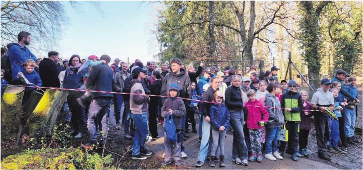 Das Gerangel und den besten Startplatz war gross, genauso wie die Vorfreude, endlich die im Wald versteckten Eier suchen zu dürfen. Bilder: vaw