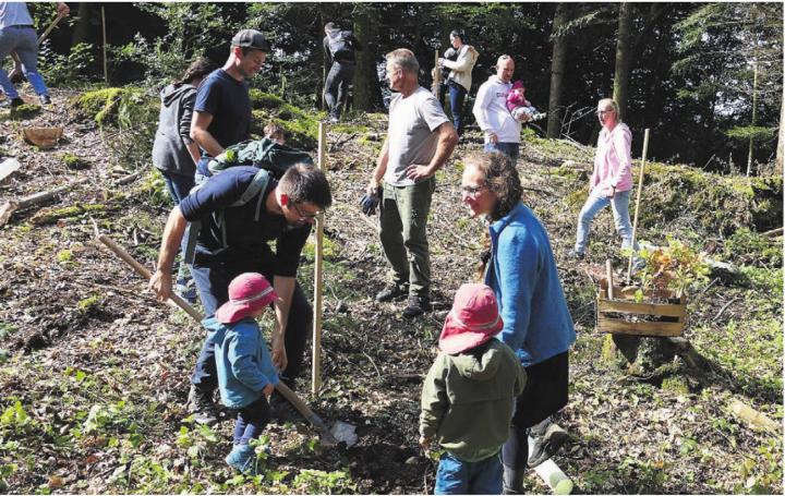Beim Baumpflanzen für die jüngsten Eggenwilerinnen und Eggenwiler helfen alle mit. Bild: Stefan Treier