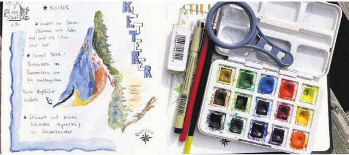 In einem Journal werden Naturbeobachtungen kreativ festgehalten. Bild: zg