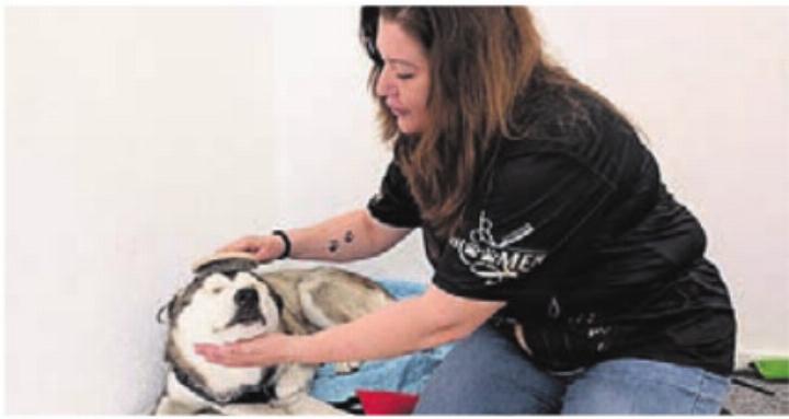 Frick widmet sich der Fellpflege. Bild: huy