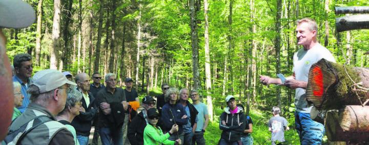 Ob Energieholz, Rückegassen oder Artenvielfalt: Betriebsleiter Urs Huber (rechts) organisierte einen vielfältigen Waldumgang im Kelleramt. Bilder: Annemarie Keusch