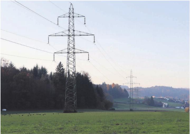 Für die Netzbetreiberin Swissgrid ist der Abschnitt durchs Freiamt von «nationaler Bedeutung». Bilder: zg