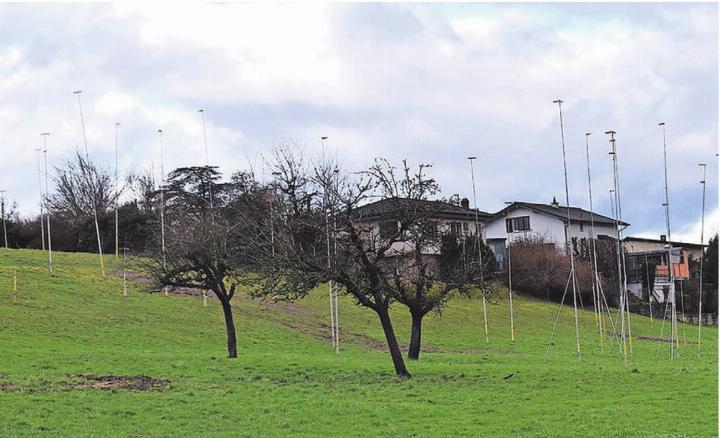 Fünf Mehrfamilienhäuser in einer Reihe: Das Baugesuch für die 1. Bebauungsetappe im Gebiet Gubel liegt auf. Bild: Erika Obrist