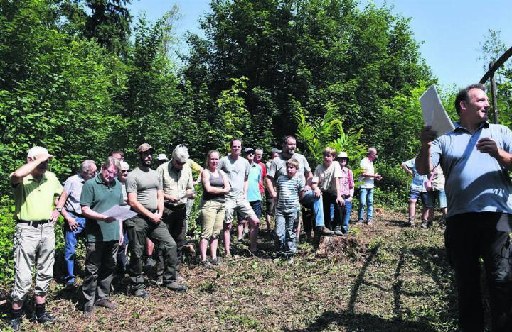 Revierförster Christoph Schmid erklärt den Besuchern, wie sie als Forstpfleger durch das Belassen von Brombeerstauden Wege schliessen oder öffnen können. Bild: Verena Anna Wigger