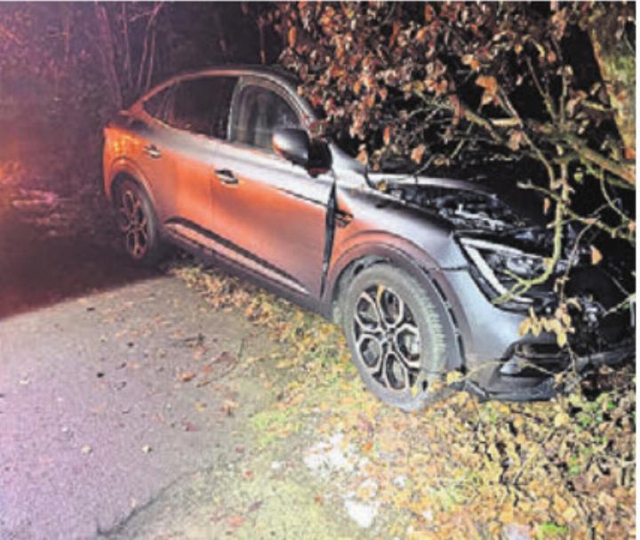 Das Auto prallte in einen Baum. Bild: pz