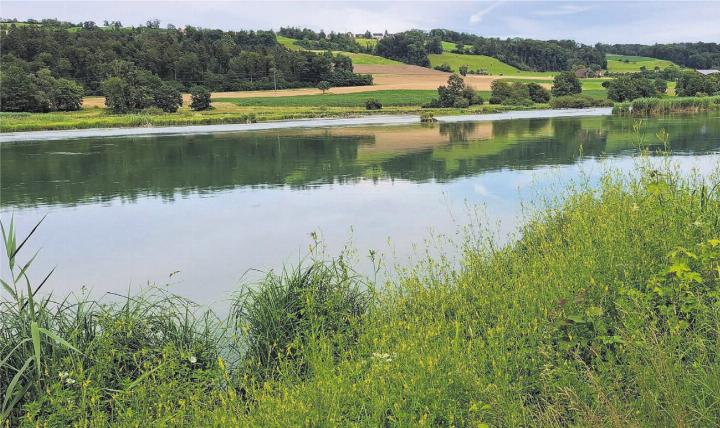 Im Flachsee spiegelt sich bei ruhigem Wasser die Umgebung. Bild: Roger Wetli