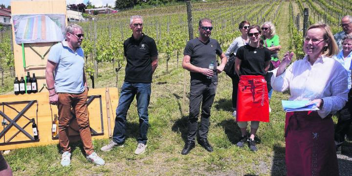 Trix Oswald, die Präsidentin der Rebbaukommission (rechts), präsentiert im sonnenbeschienen Stadtberger Rebberg ihre Köstlichkeiten. Bilder: Hans Rechsteiner