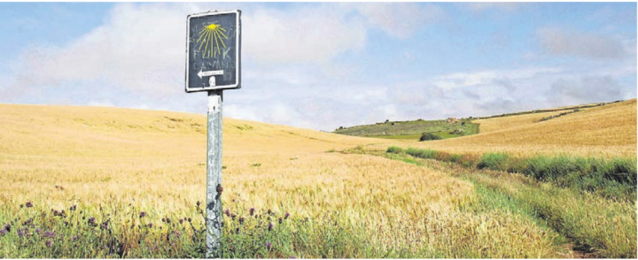 Weiten zum Abschalten: Die reformierte Kirche lädt zur gemeinsamen Pilgerwanderung. Bild: zg