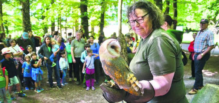 Faszination Eulen auf dem Sagenweg. Gabriela Hediger mit Schleiereule Loki. Bilder: Thomas Stöckli