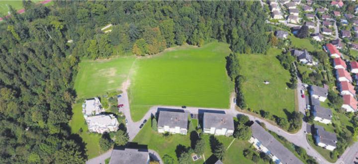 Zur «Isleren» gehört die freie Fläche vor dem Waldrand. Bild: Archiv