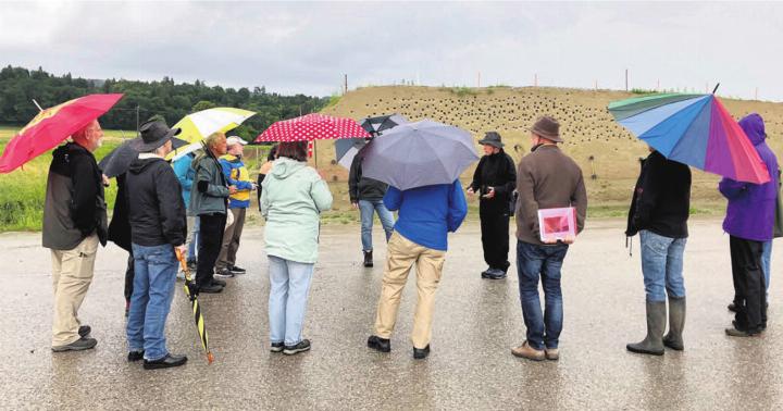 Die Teilnehmenden der Abendexkursion erhielten viele Informationen, wie auch hier bei der Uferschwalbenwand Müller Kies. Bild: zg