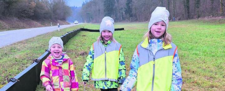 Kinder sind mit grossem Engagement bei der Rettung der Amphibien am Werk. Bild: zg