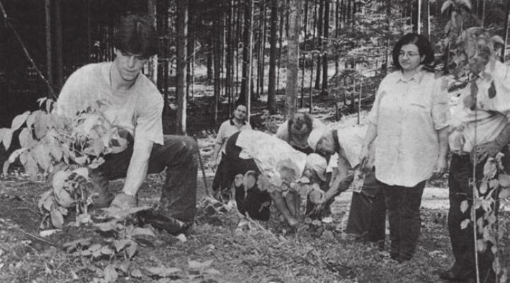 Mit grosser Begeisterung sind die Niederwiler bei der Pflanzaktion dabei. Bild: Archiv