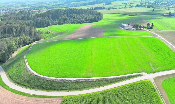 Heute ist die «Weid» unscheinbar: Kaum etwas erinnert an die Aushub-Deponie, die an dieser Stelle in der Gemeinde Beinwil zehn Jahre geführt wurde. Bilder: Celeste Blanc (1) / zg(2)