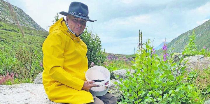 Ein bisschen wie im Film «Into the wild»: Pirmin Breu mit einem Kessel voller Heidelbeeren.