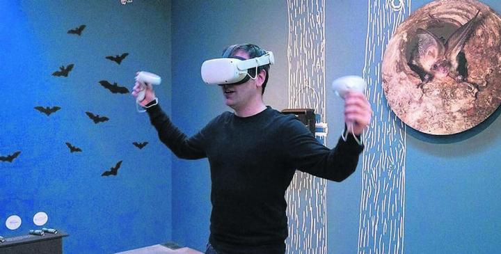 Eintauchen in die faszinierende Welt der Fledermäuse mit Virtual-Reality-Brille an der Internationalen Nacht der Fledermäuse Bild: Naturama