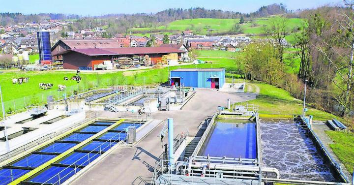 Ausbau oder Anschluss an Bremgarten? Eine Machbarkeitsstudie soll Aufschluss liefern über die Zukunft der ARA Kelleramt. Bild: zg