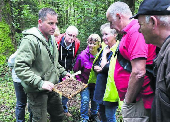 Philipp Heller (links) zeigt seine Bienenwabe.