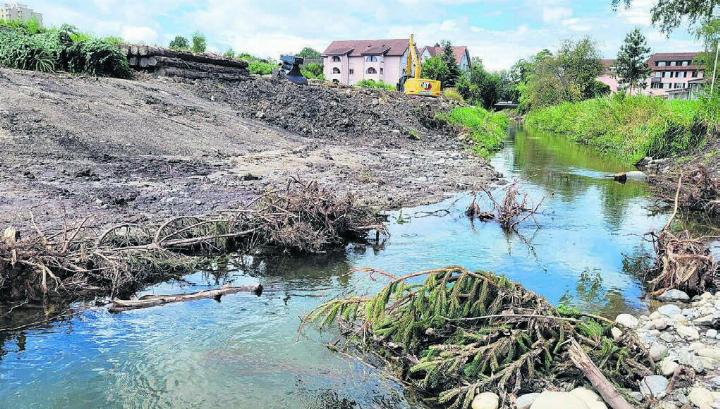Verschiedene Strukturen im und am Wasser sorgen für optimale Lebensräume für ganz viele Tierarten. Bilder: Chregi Hansen