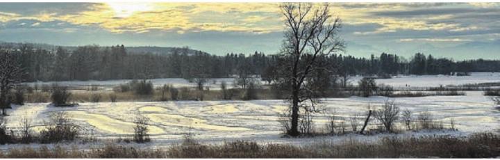 Die Reusslandschaft präsentiert sich zu allen Jahreszeiten in ihrer Schönheit. Bild: zg