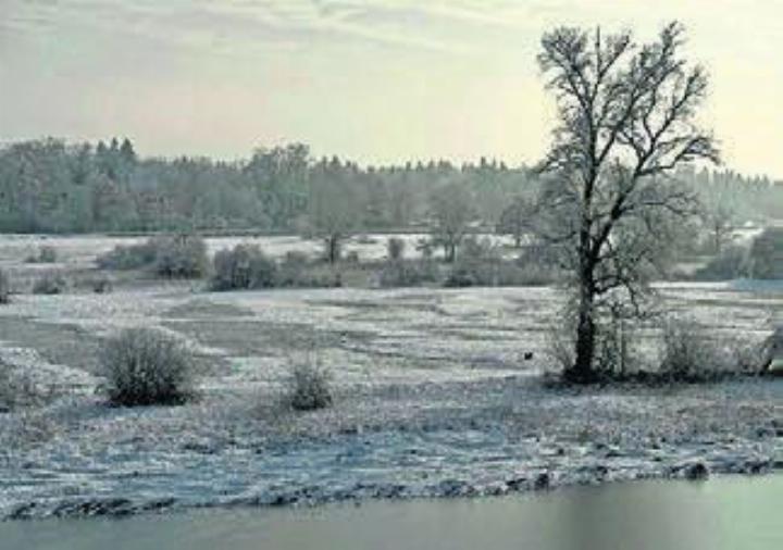 Stille Reuss in Rottenschwil. Bild: zg