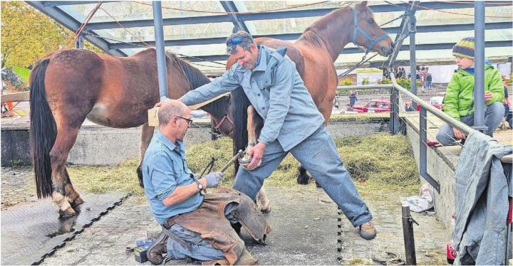 Das Schmiedehandwerk wurde dieses Jahr besonders anschaulich gezeigt. Die vielen Hufeisen brachten allerdings erst am Sonntag Wetterglück. Bild: Marco Huwyler Das Schmiedehandwerk wurde dieses Jahr besonders anschaulich gezeigt. Die vielen Hufeisen brachten allerdings erst am Sonntag Wetterglück. Bild: Marco Huwyler