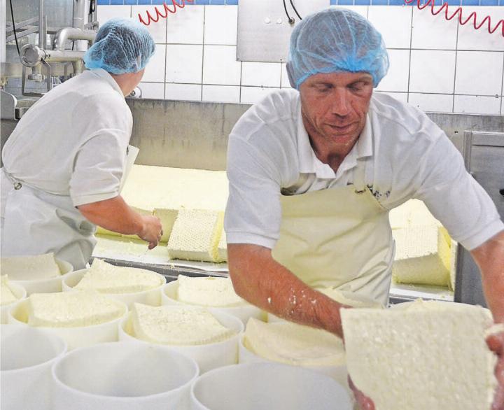 Fabian Spielhofer (rechts) hebt zusammen mit einer Mitarbeiterin den Frischkäse in die Laibformen. Bilder: Roger Wetli