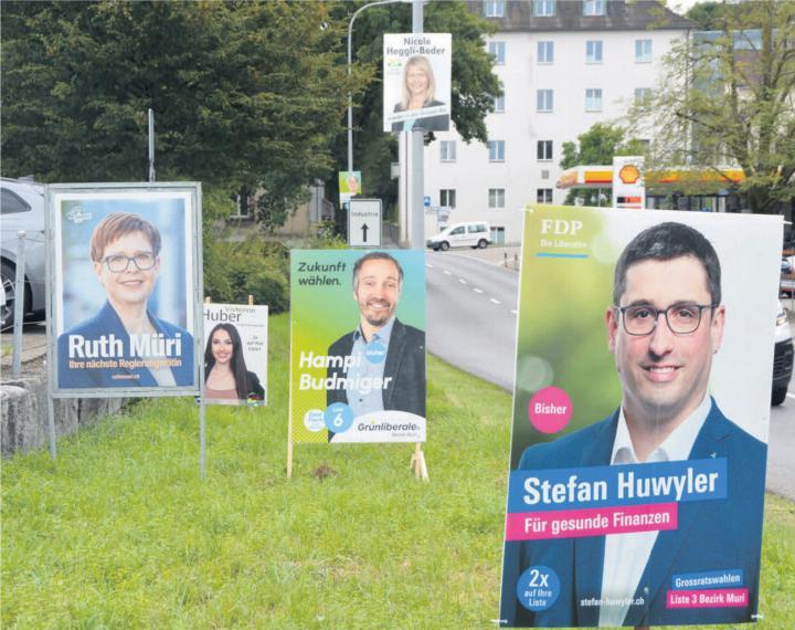 Der Plakatwald steht – der Wahlkampf um die acht Sitze des Bezirks Muri im Grossen Rat ist längst lanciert. Bild: Annemarie Keusch