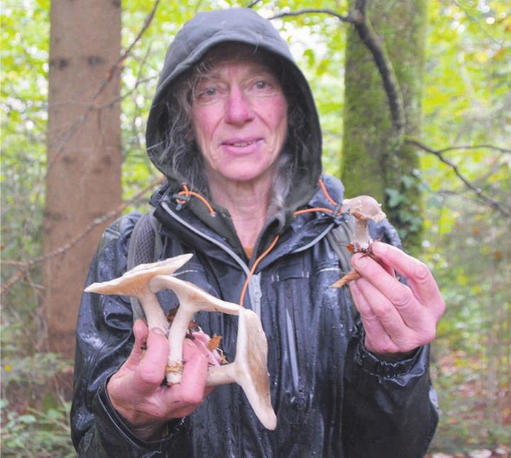 Pamela Roesch mit Nebelkappen, die sie im Joner Wald gefunden hat. Seit Kurzem sind diese nicht mehr auf der Liste der Speisepilze. Bild: Annemarie Keusch