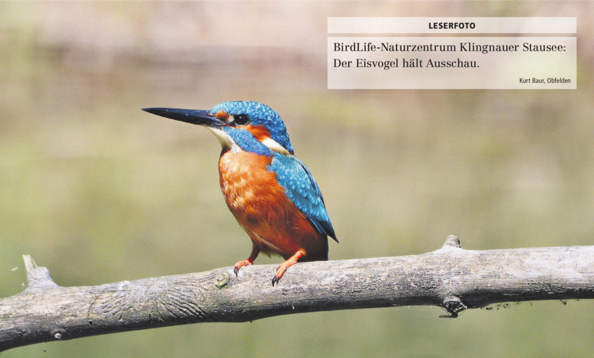  - Das Bild wird blockiert. – Möglicherweise durch einen aktiven Adblocker.