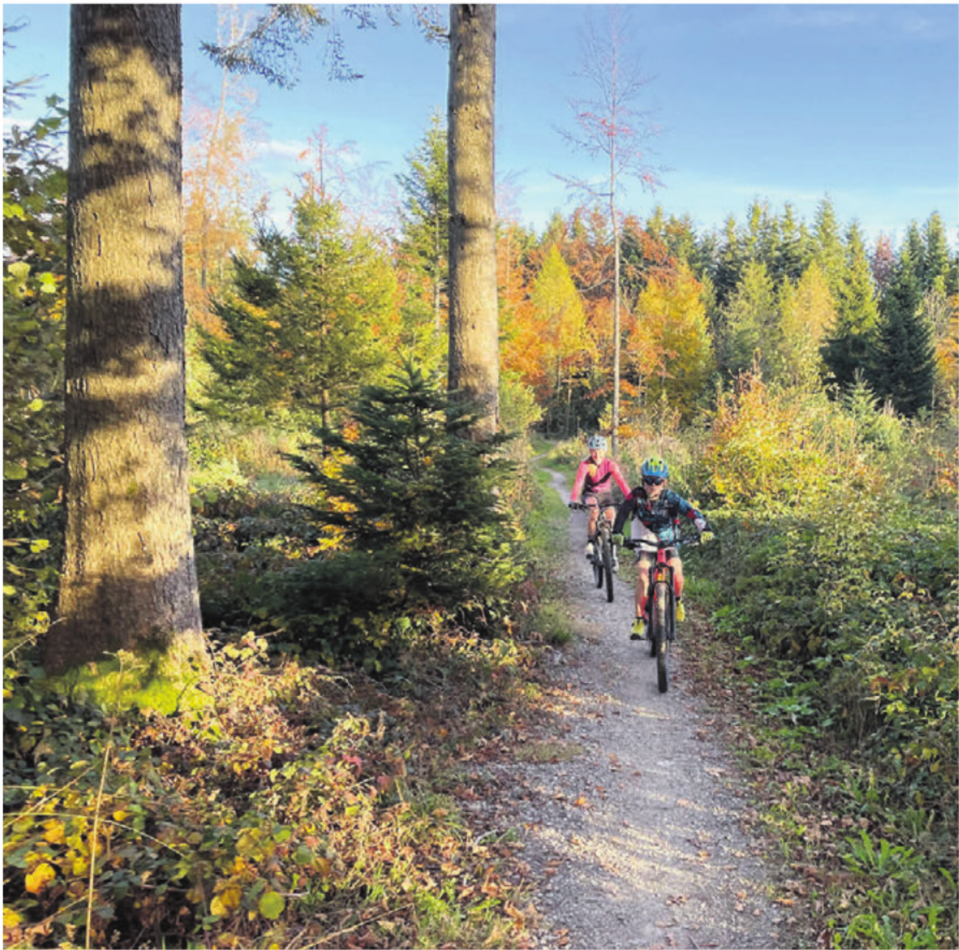 Trails wie dieser am Lindenberg sind den Mountainbikern ein Anliegen. Bilder: zg - Das Bild wird blockiert. – Möglicherweise durch einen aktiven Adblocker.
