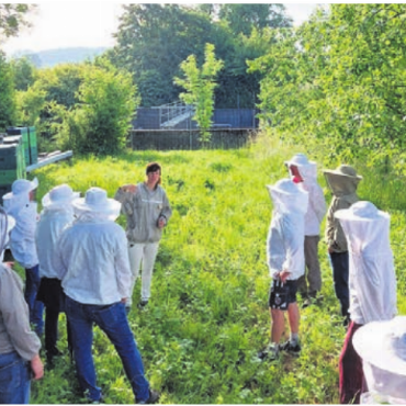 Ein Kaffeelöffel voll Nektar - Die Mitglieder des Natur- und Vogelschutzvereins Dottikon betrachten gut geschützt Bienenstöcke aus der Nähe mit Mirjam Lendenmann von «bee happy».    Bild: zg